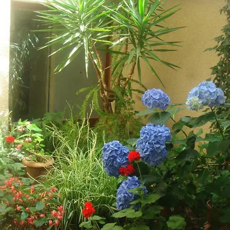 Bed and breakfast Les Hortensias